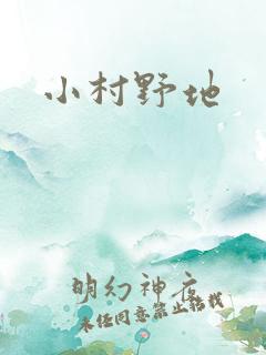 小村野地