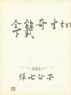 全能奇才txt下载