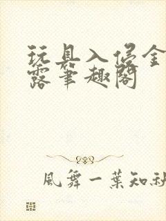 玩具入侵金银花露笔趣阁