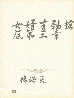 女婿有劲枪枪到底第三章