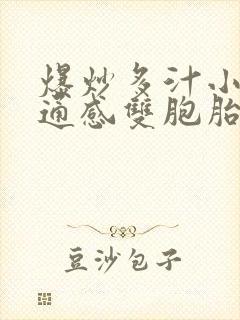 爆炒多汁小美人通感双胞胎