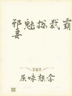 邪魅总裁霸占新妻