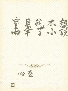 宝贝我不想带小雨伞了小说