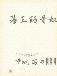 藩王的爱奴