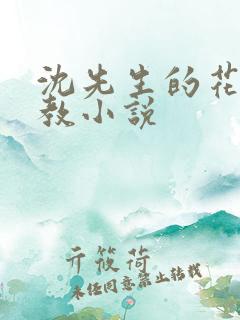 沈先生的花式调教小说