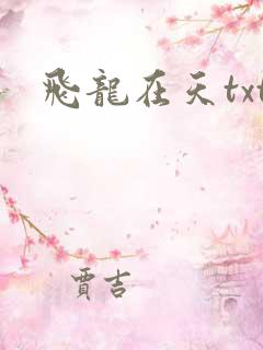 飞龙在天txt