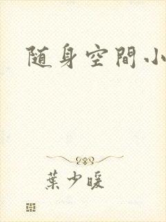 随身空间小说