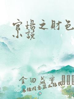 官场之财色诱人小说