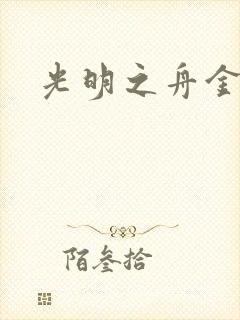 光明之舟金手指