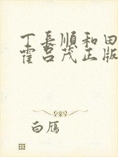 丁长顺和田晓兰霍吕茂正版