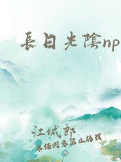 长日光阴np