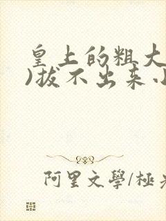 皇上的粗大(h)拔不出来小说