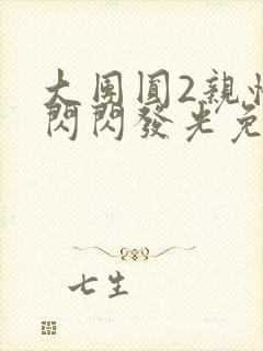 大团圆2亲情会闪闪发光免费