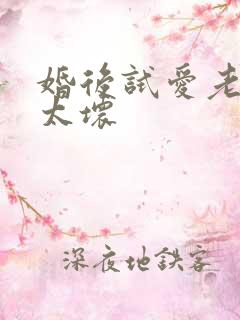 婚后试爱老公别太坏