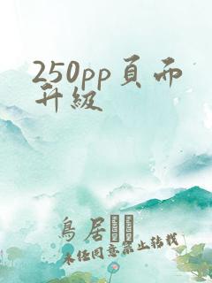 250pp页面升级