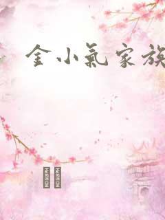 金小气家族小说