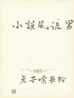 小说风流男护理