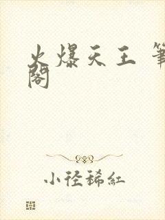 火爆天王 笔趣阁