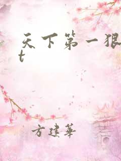天下第一狠txt