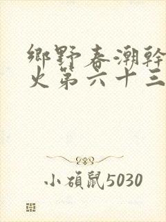 乡野春潮干柴烈火第六十三章