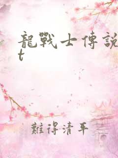 龙战士传说txt
