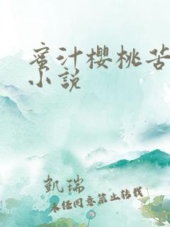 蜜汁樱桃苦咖啡小说