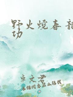 野火烧春 龙鸣功