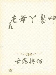 老爷丫鬟呻吟高h