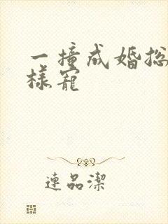 一撞成婚总裁花样宠