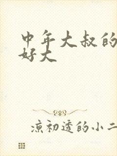 中年大叔的包包好大