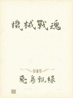 机械战魂