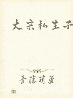 大宋私生子