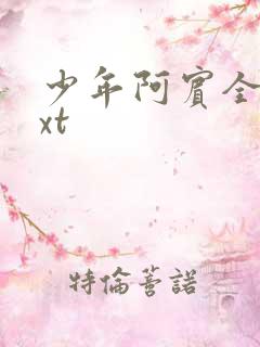 少年阿宾全集txt