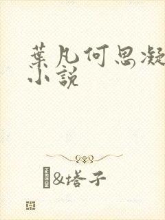 叶凡何思凝七月小说