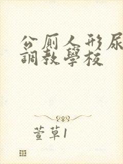 公厕人形尿便器调教学校