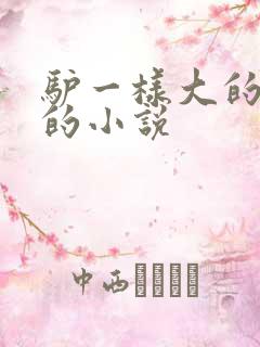 驴一样大的凶器的小说