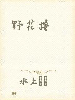 野花撸