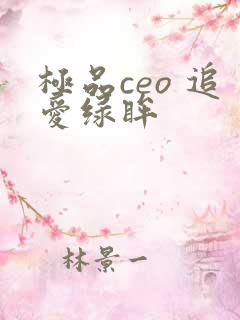 极品ceo 追爱绿眸