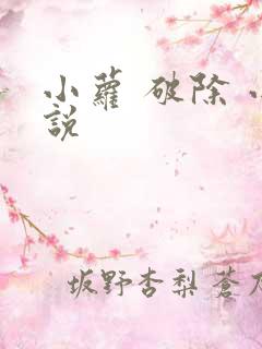 小萝 破除 小说
