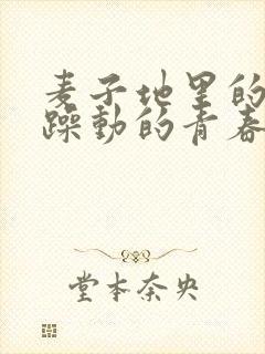 麦子地里的故事躁动的青春小说