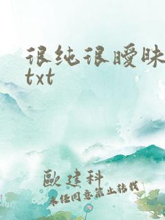 很纯很暧昧全集txt