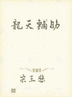 龙天辅助