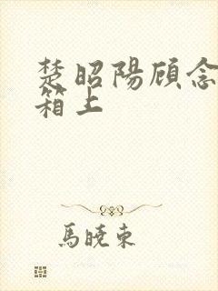 楚昭阳顾念在冰箱上