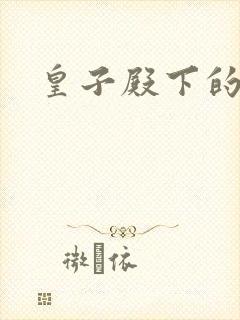 皇子殿下的傲妃