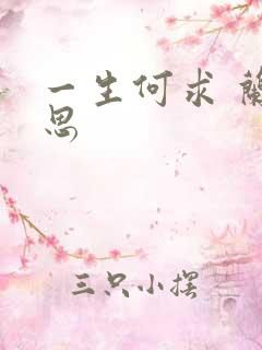 一生何求 兰思思