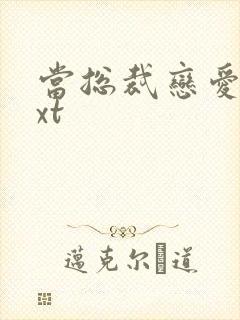 当总裁恋爱时txt