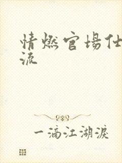 情燃官场仕途风流