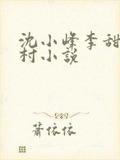 沈小峰李甜的乡村小说