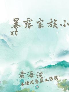 暴露家族小说txt