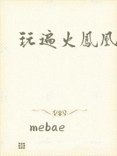 玩遍火凤凰队员